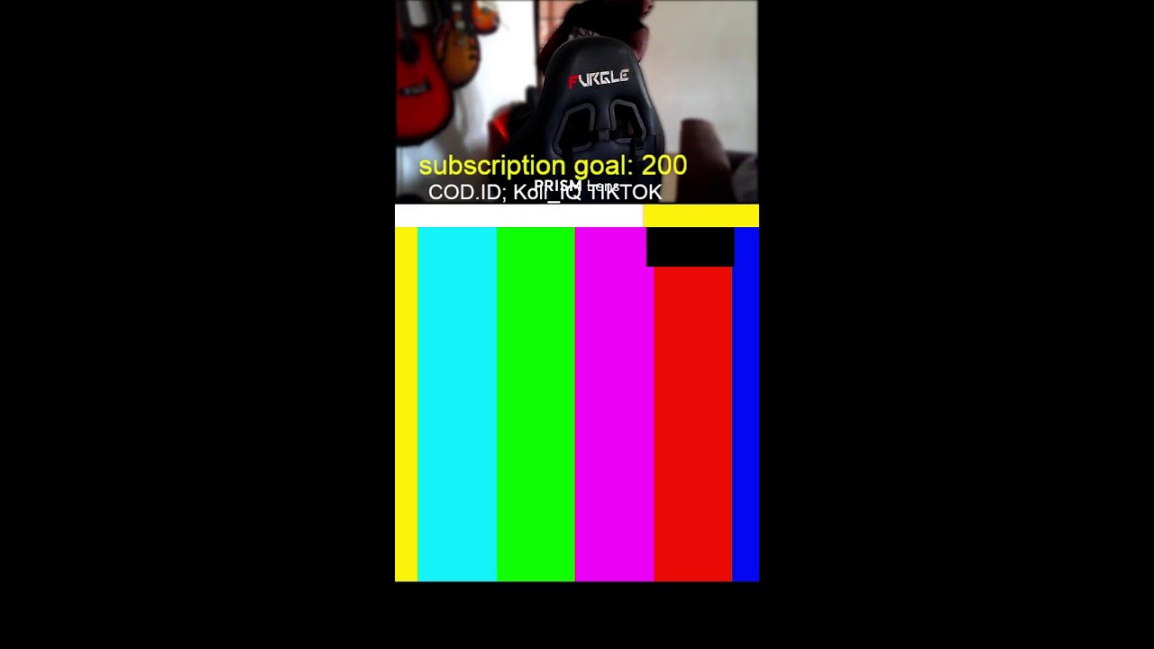 Playing Call Of Duty With Viewers