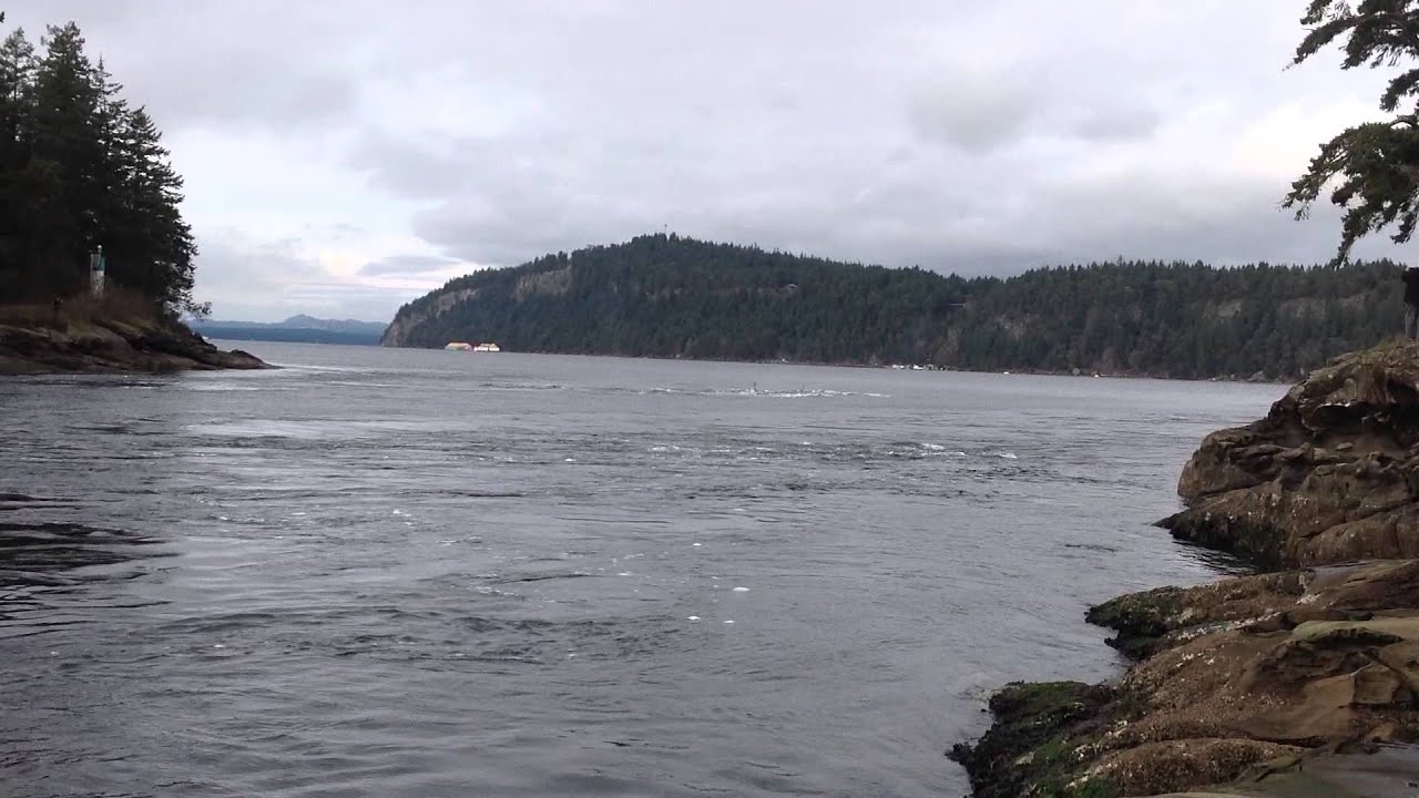 Biggs Orca Pod in Dodd Narrows