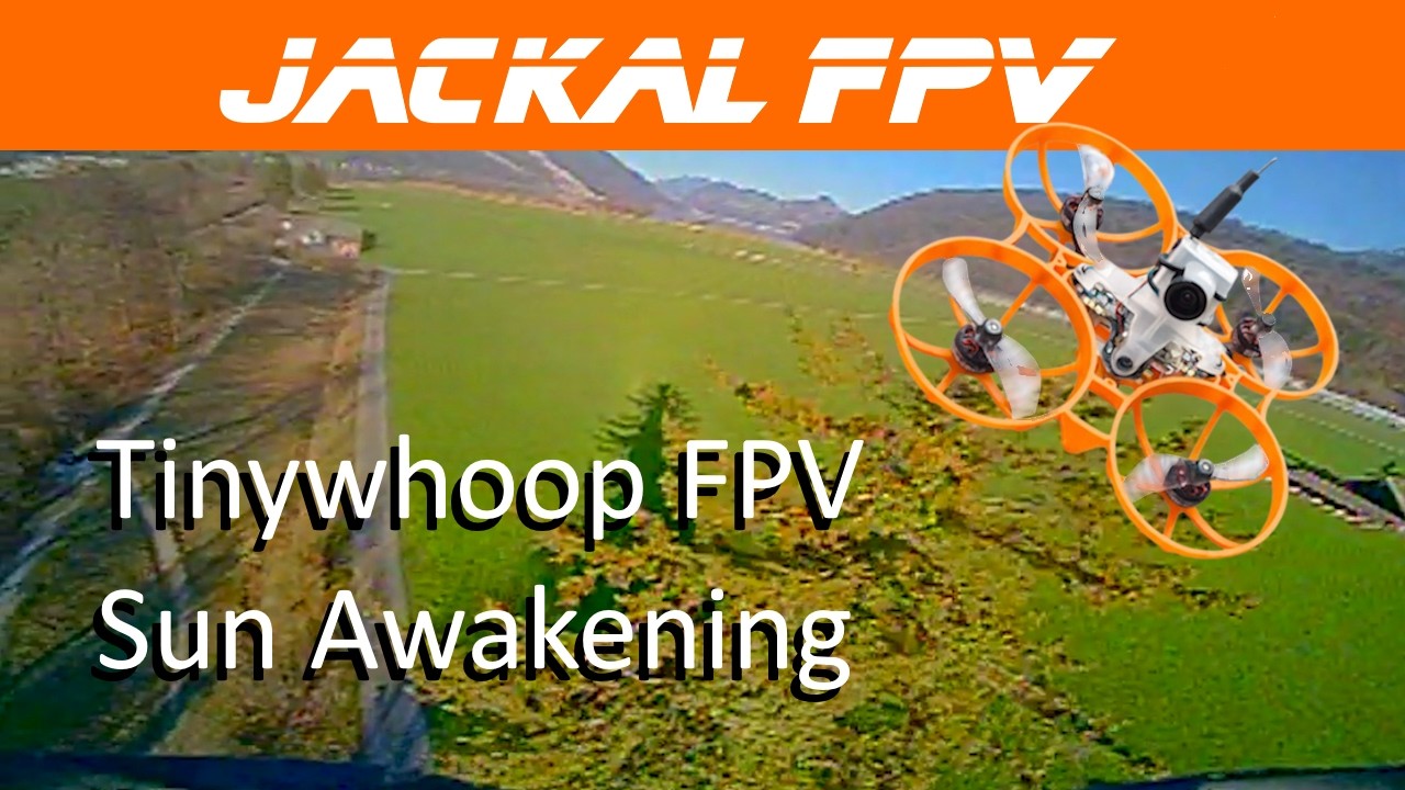 Flying sunny valley with a friend - Tinywhoop FPV