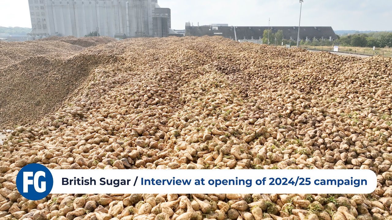 Sugar Beet - Conditions and disease pressures at British Sugar, Bury St Edmunds