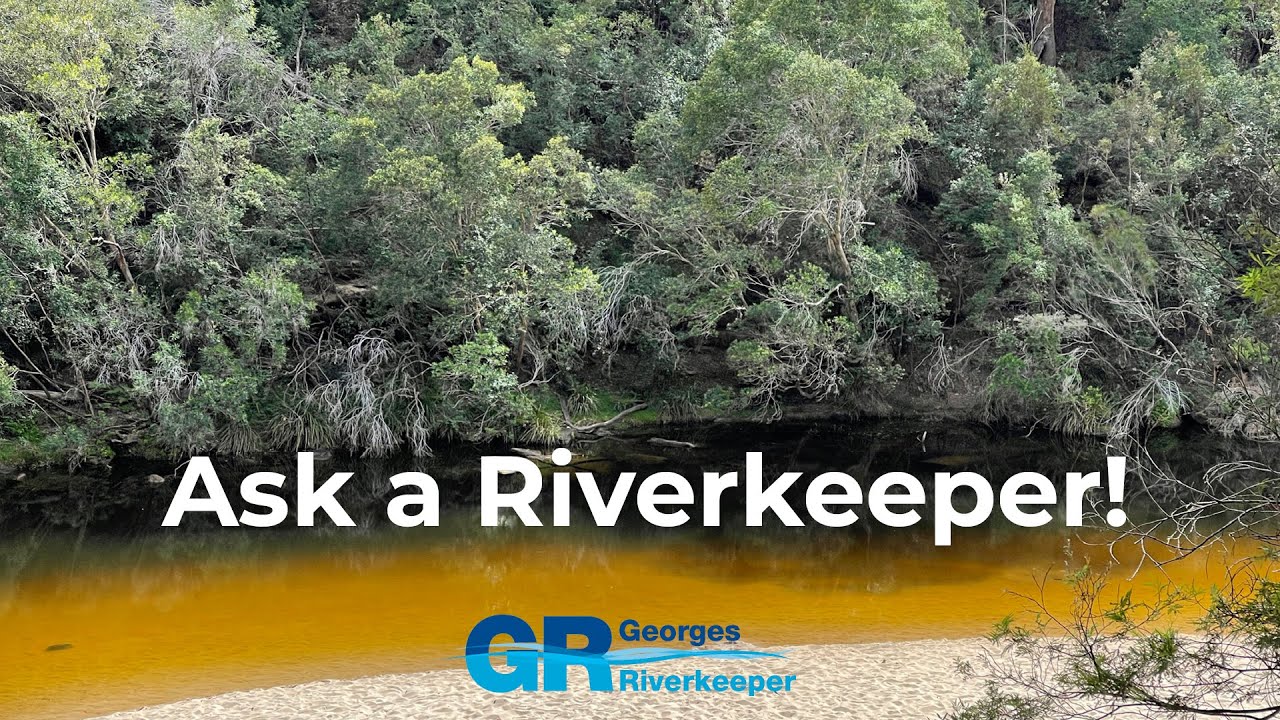 Ask a Georges Riverkeeper! Student Q&A about the Georges River