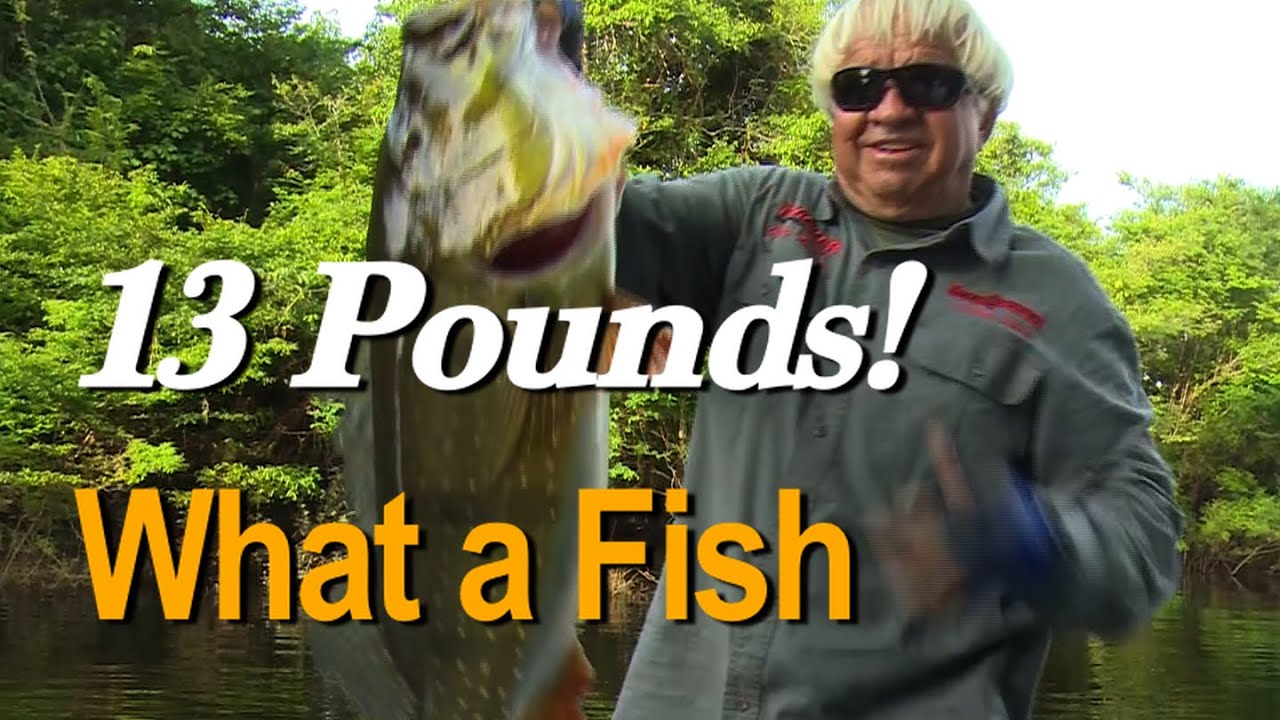Incredible Fishing in Brazil!  Giant Peacock Action JHO ep 20-16