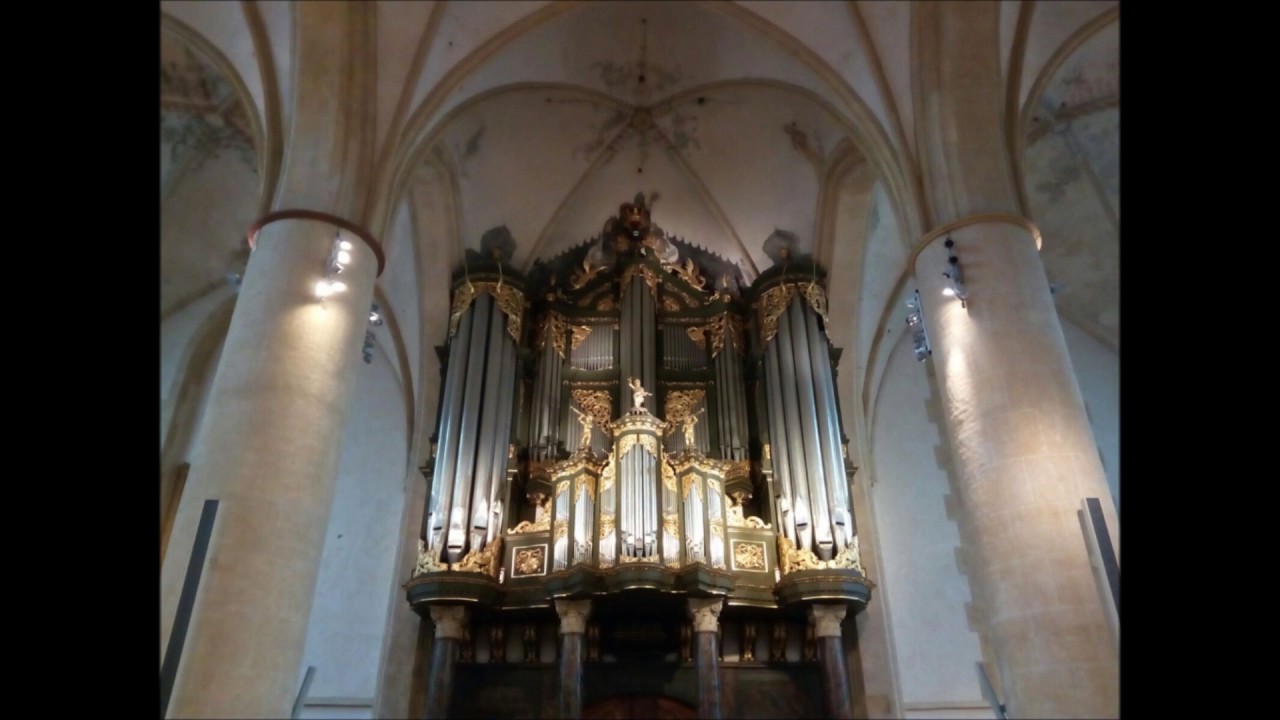 Janny De Vries - M. Reger - 'Straf mich nicht in deinem Zorn' (rehearsal) - Martinikerk Groningen