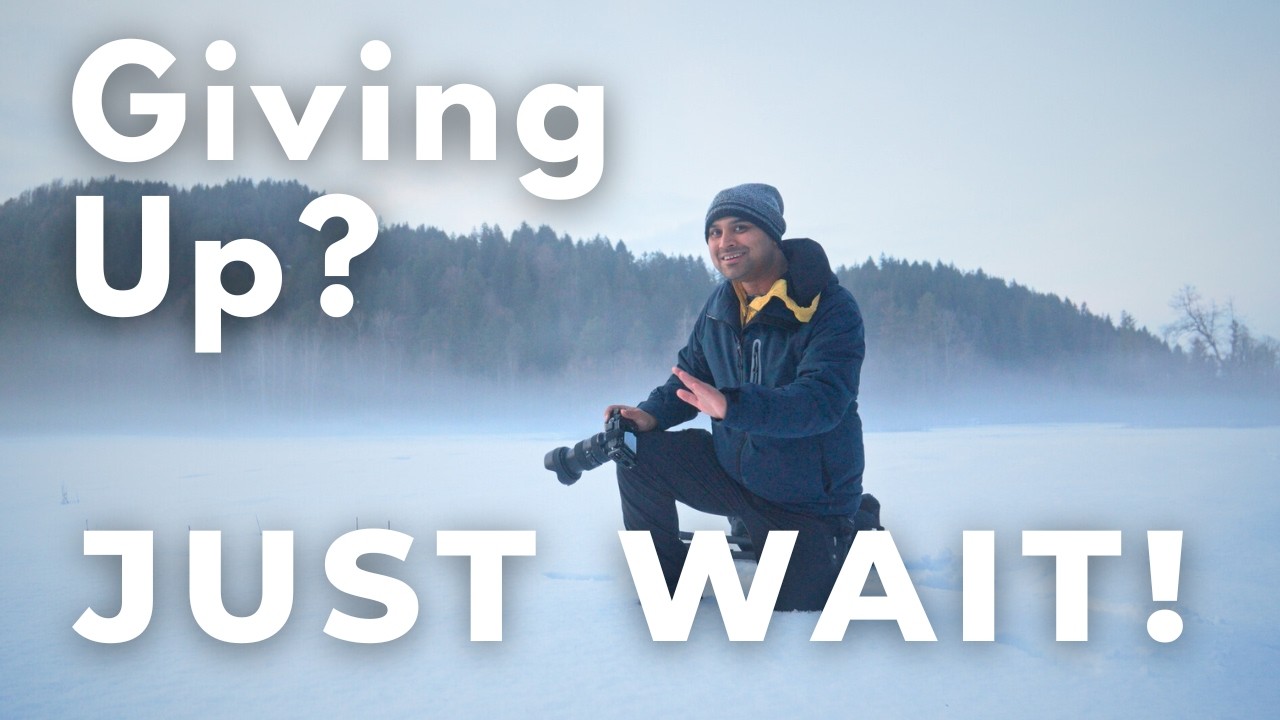 I Couldn’t Find a Shot… Then Winter Worked Its Magic