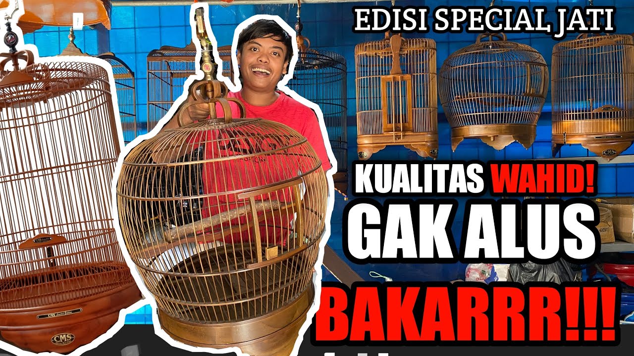 PERJATIAN DUNIAWI DIMULAI!!! 🔥| Review Sangkar jati | Cms Pramuka.