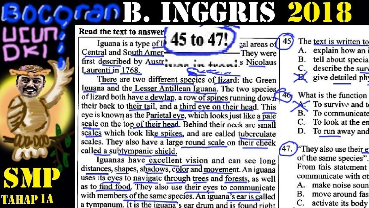 presiksi un bahasa inggris smp 2018 'bocoran' ucun, uji coba UN dki 1A no 45 46 47, description text