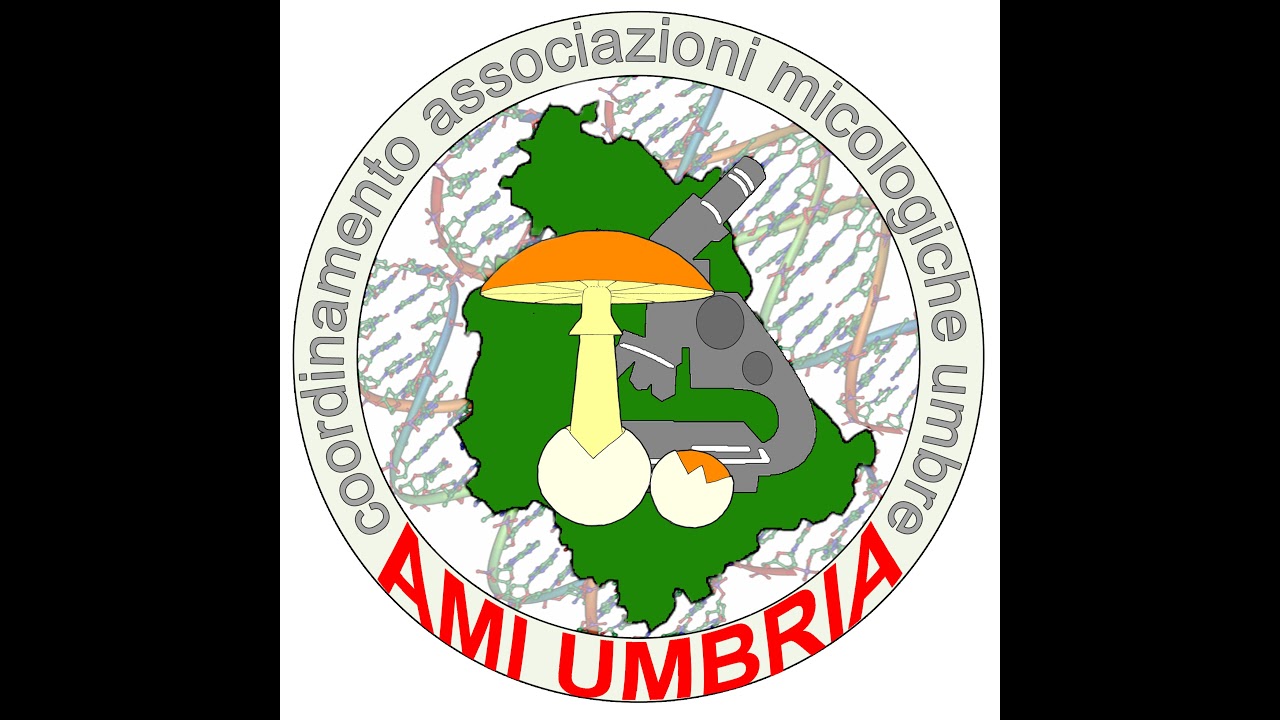Live streaming di Coordinamento Associazioni Micologiche Umbre
