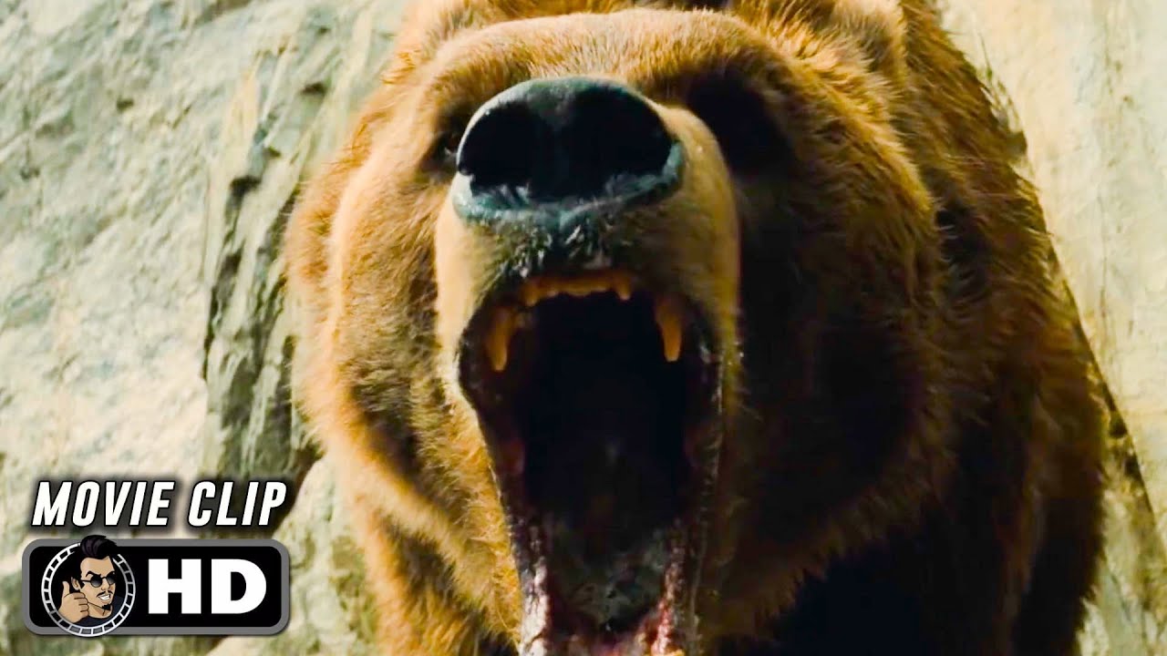 THE BEAR Clip - 