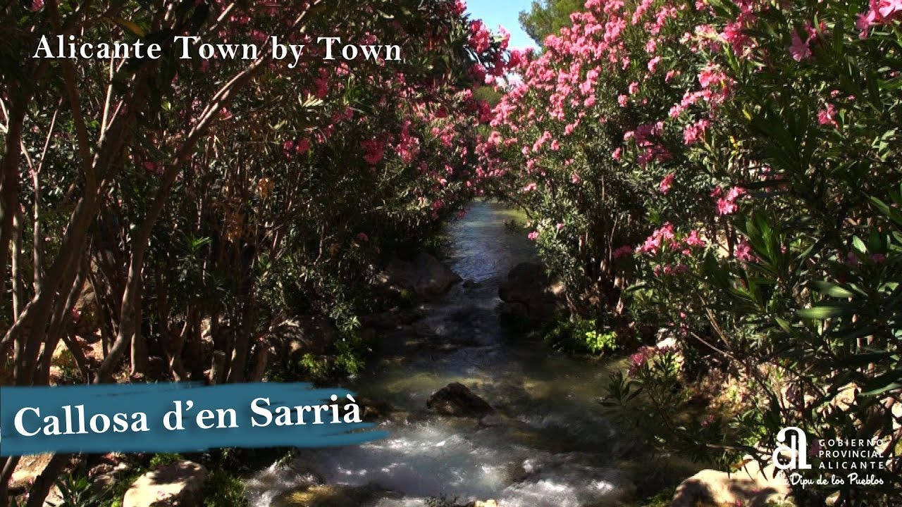 CALLOSA D'EN SARRIÀ. Alicante, Town by Town.