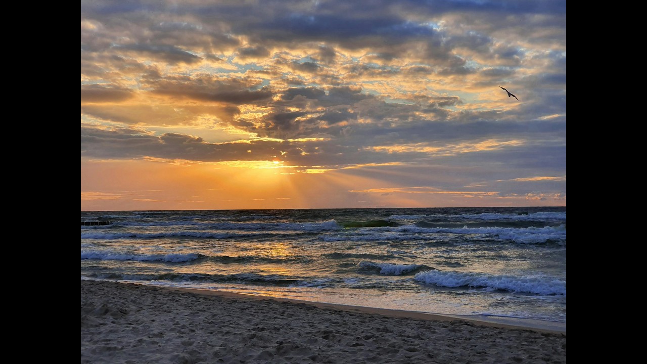 Deep Focus & Relaxation | Peaceful Music for Stress Relief and Sleep  #RelaxingMusic #DeepFocus