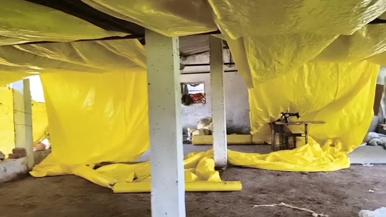 Poultry farm Renovation #ec poultry farm (modified) #farming #business #viralvideo 🐔🪶EC Poultry farm