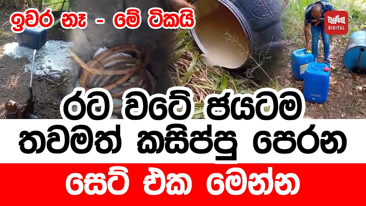 රට වටේ ජයටම තවමත් කසිප්පු පෙරන සෙට් එක මෙන්න