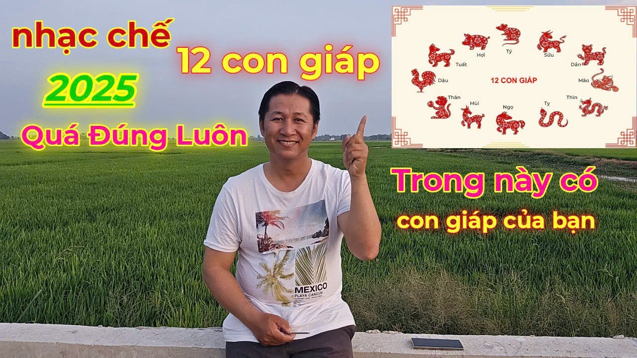 Nhạc chế 12 con giáp 2025 quá ý nghĩa từng con vật #nhachaymoingay