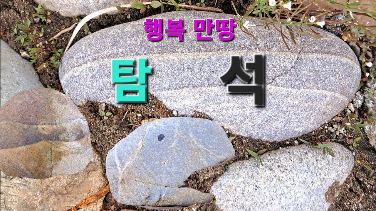 남한강 수계 작은 또랑은 월석 호박석 그림 돌 문양석 미석 청석 칼라석 예쁜돌 계속 나온다. 수석탐석 출발