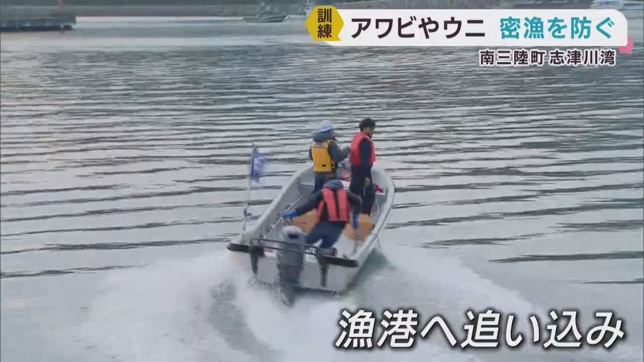 アワビやウニなどの密漁を防ぐ　宮城県警や海上保安署などが訓練
