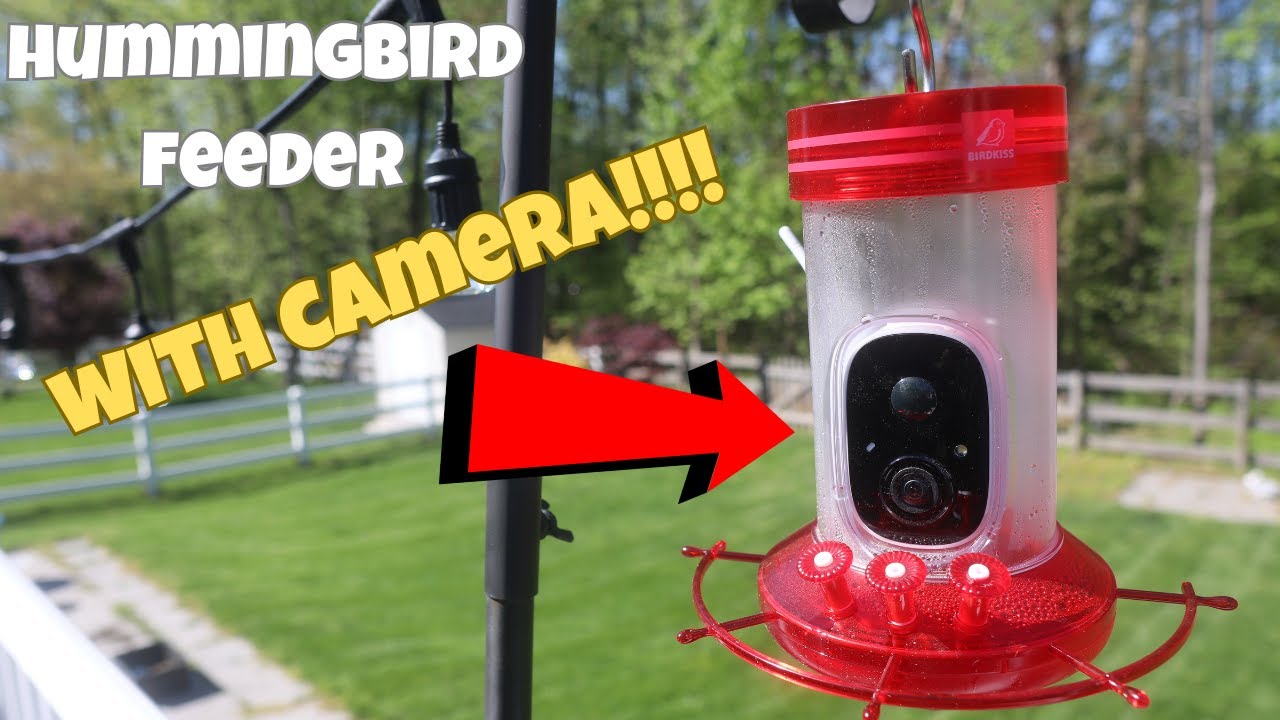 Birdkiss Smart Hummingbird Feeder with Camera review!
