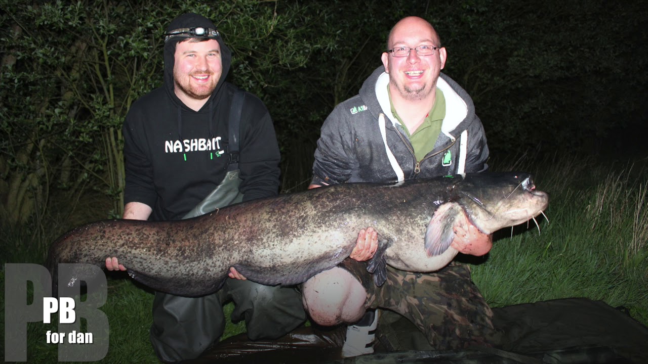PREMIER ANGLING CATFISH TRIP (SWALLOW POOL)