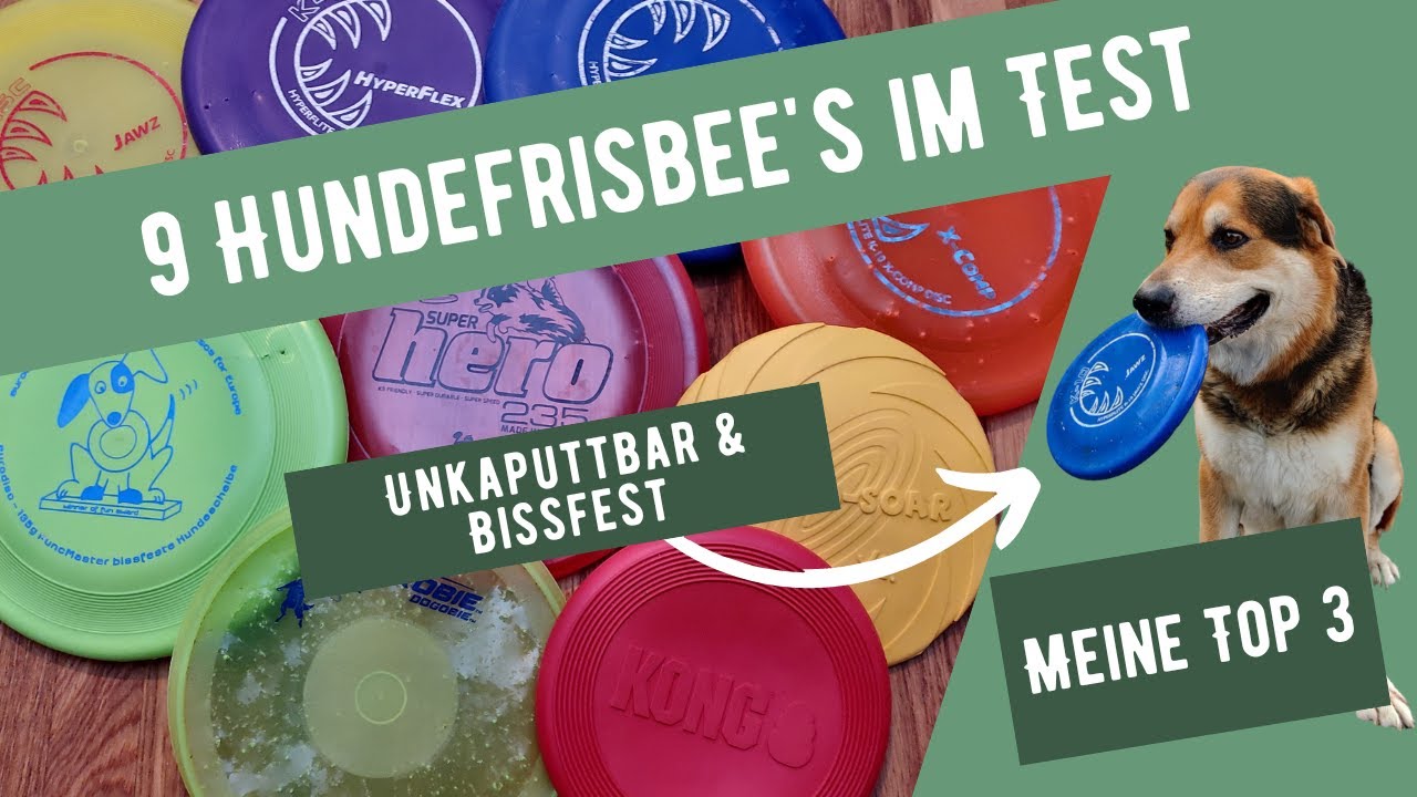 Hundefrisbee Test 🐶 9 beste Frisbees für Hunde im Vergleich 🥏 Unkaputtbar & Bissfest | Meine Top 3 🏆
