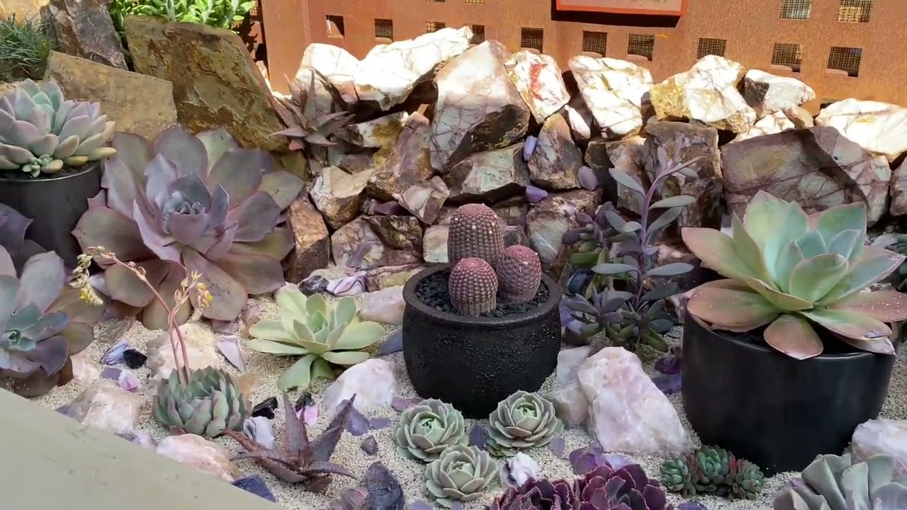 Сад Камиллы💕