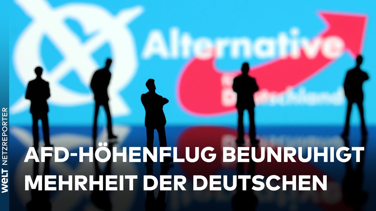 AFD AUF H&Ouml;HENFLUG: Jeder dritte Deutsche w&uuml;rde AfD-Kanzlerkandidaten bef&uuml;rworten | WELT News