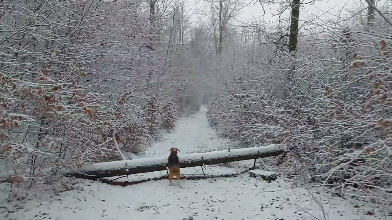Pierwszy śnieg w tym roku Kalwaria