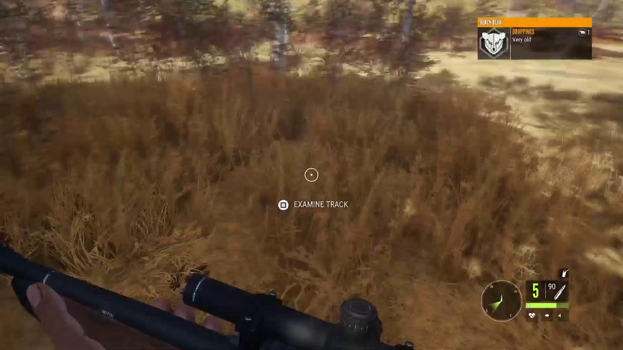 The hunter call of the wild