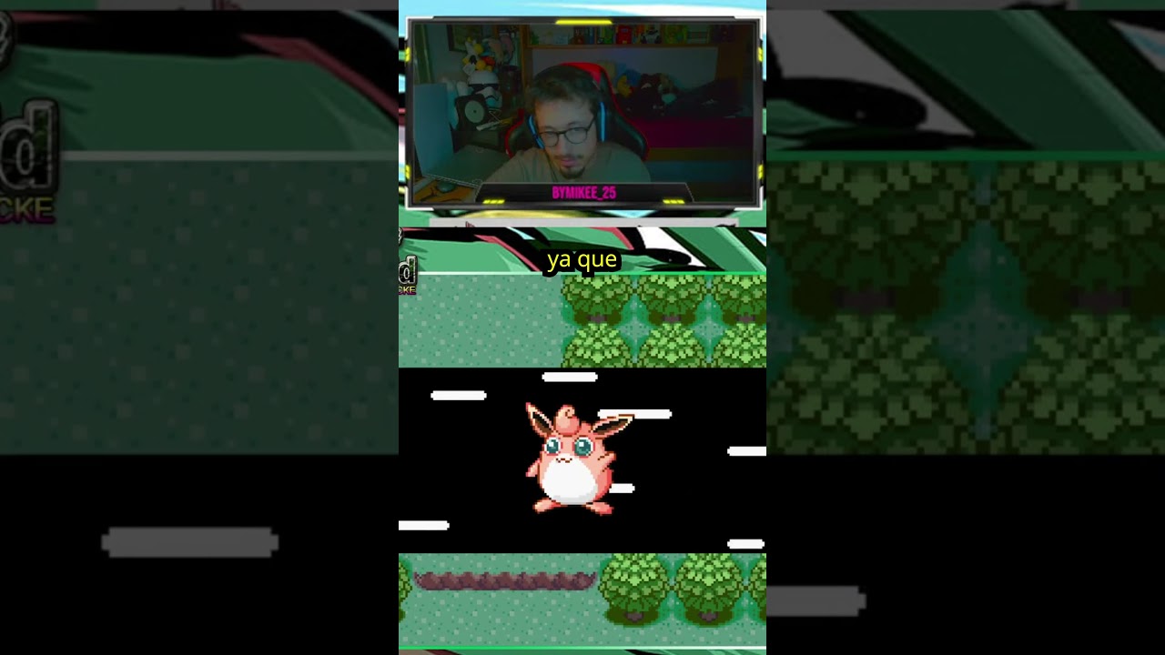 Yo ya las considero bayas 