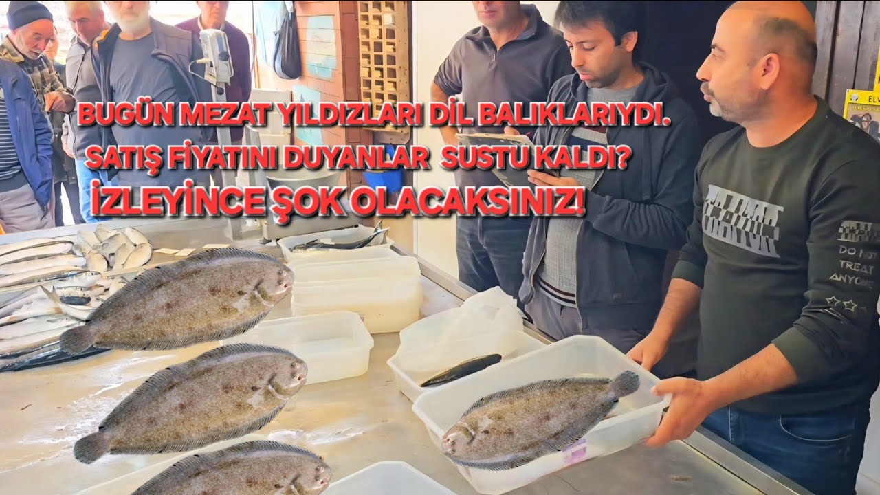 Рыбный аукцион Мордоган 16.10.2025 ГОРИЗОНТАЛЬНАЯ СЪЕМКА