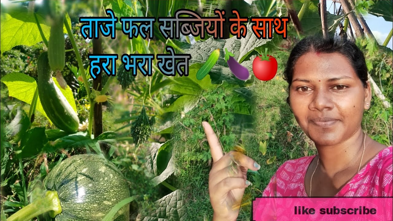 ताजे फल सब्जियों से हरा भरा खेत 🍆🥒☘️🌴🌿🍅🍈🌱