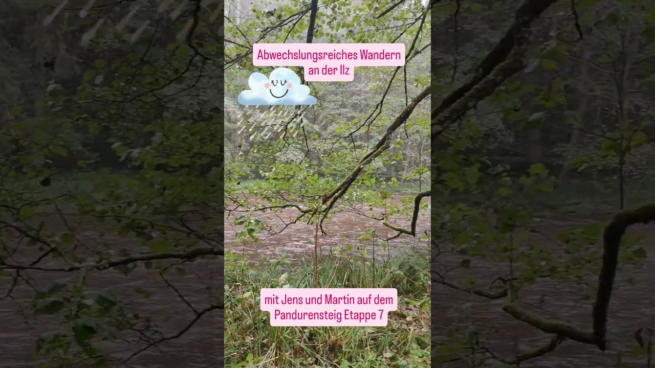 Abwechslungsreiches #Wandern an der Ilz