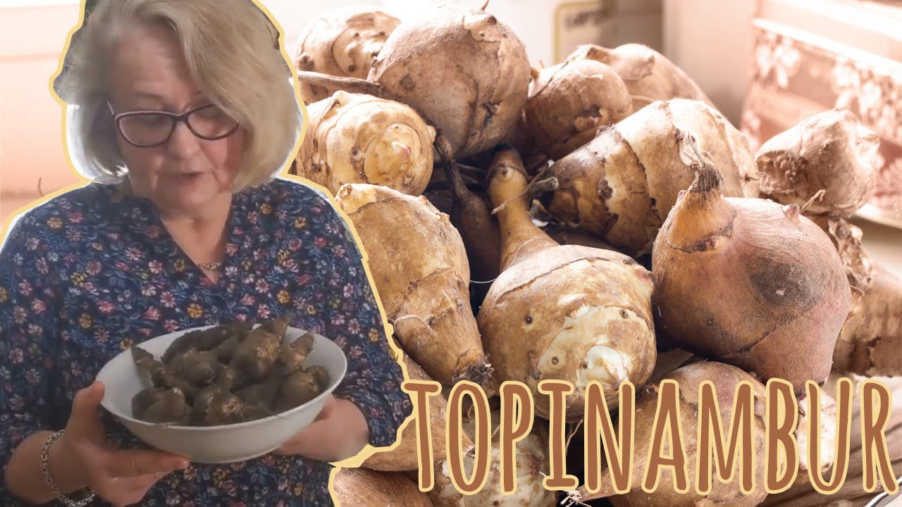 Topinambur ( słonecznik bulwiasty ) - do czego używać i jakie ma działanie prozdrowotne