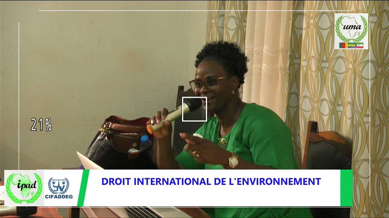 CARRIERES INTERNATIONALES ET DIPLOMATIQUES
