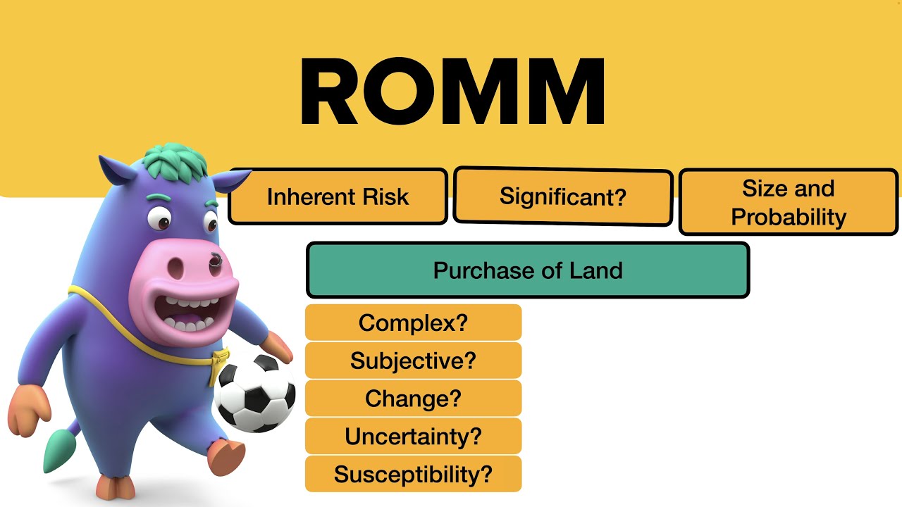 Risks of Material Misstatement