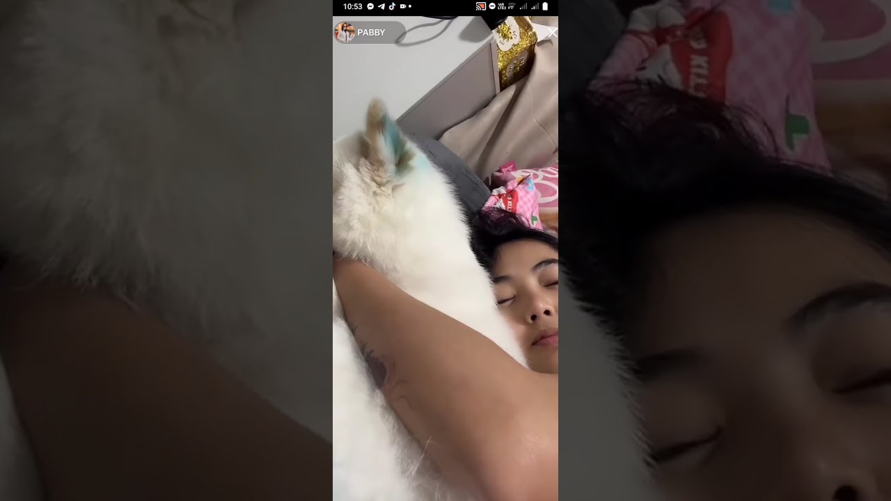 Pabby TikTok Live ( Feb 06, 2025 ) CassBy