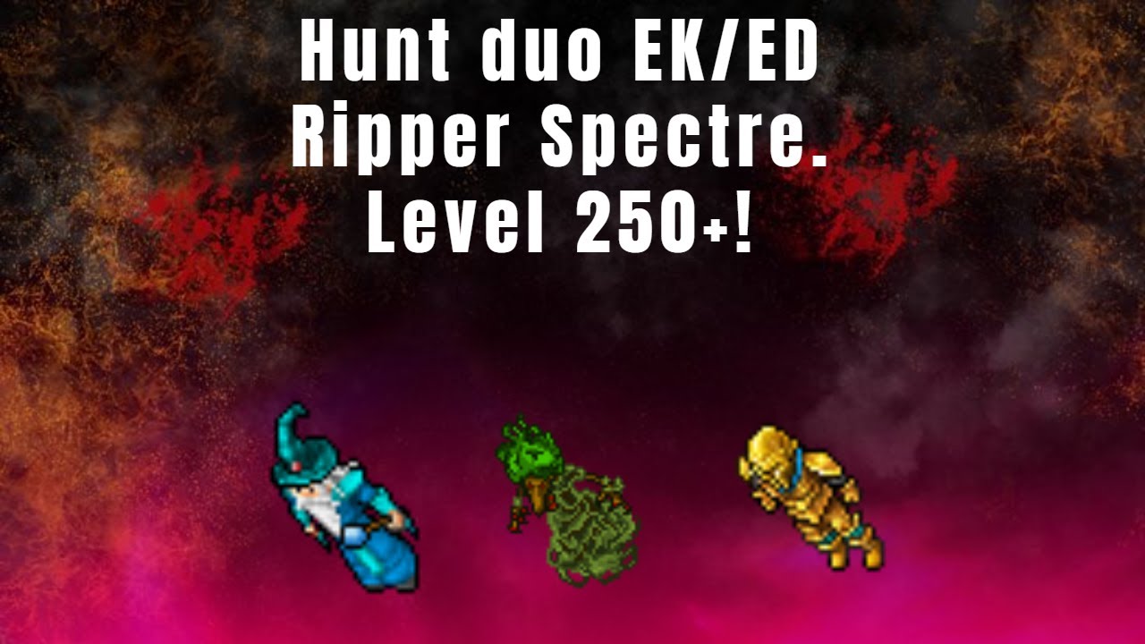Tibia hunt duo EK e ED - Ripper Spectre! Volta para duo e PT! (level 250+). Volta 100% explicada!