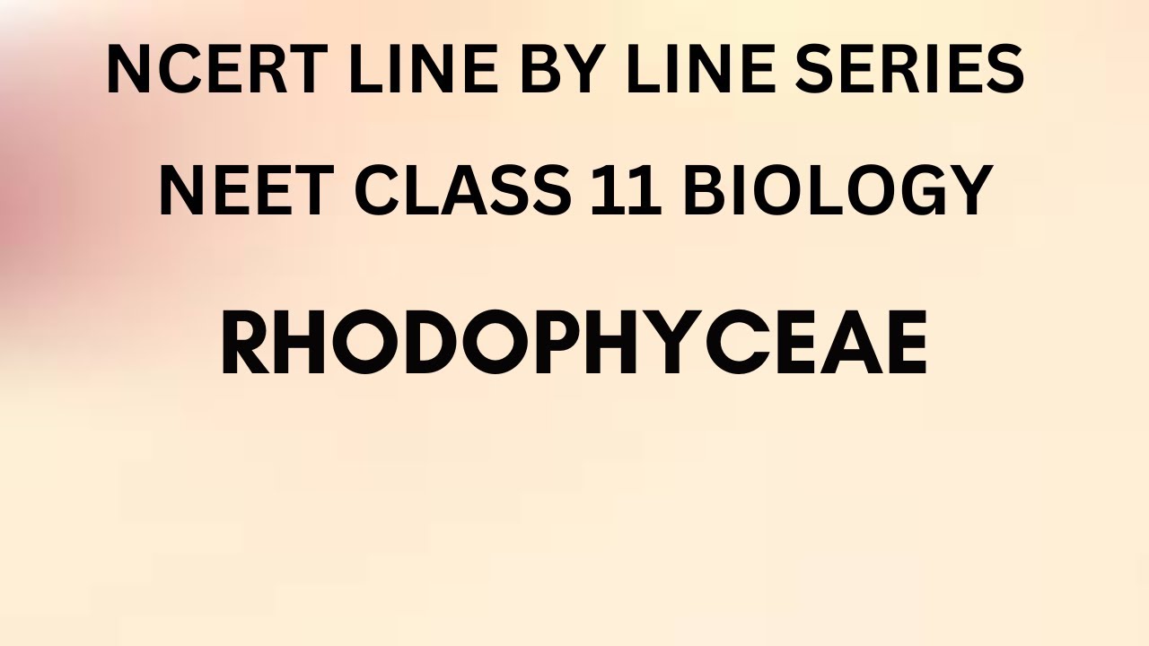 Rhodophyceae | NCERT Line by Line Series | NEET | Class 11 | Biology | Tamil