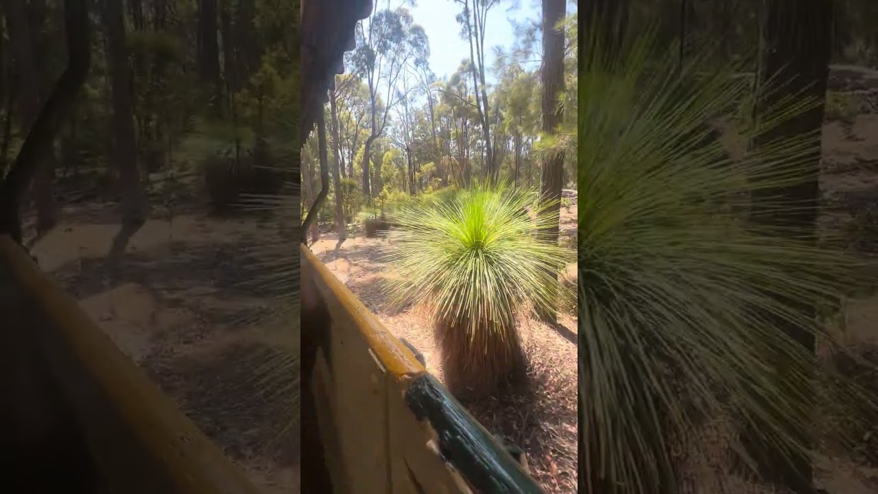 Rotham valley train ride to little hiking at dwellinup  In western highway 🛣️ 😍🆒😎😱🤩😻😍🆒😎😻😱😱😱