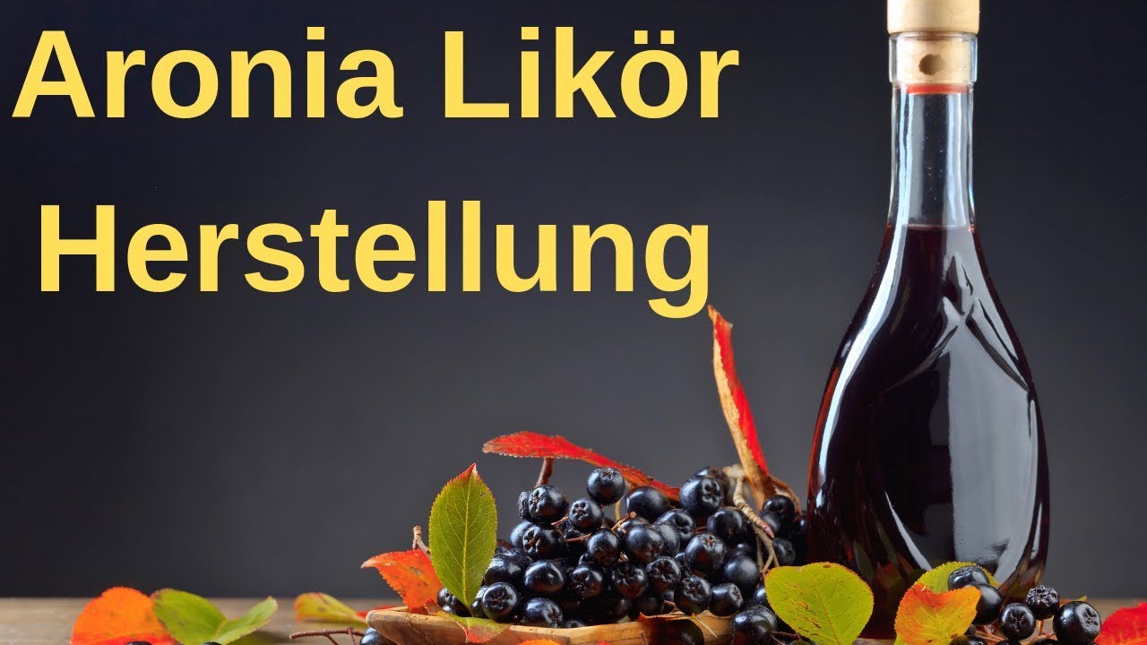 ⭐⭐ Aronia Likör selber herstellen - schnelles Aronia Likör Rezept ⭐⭐