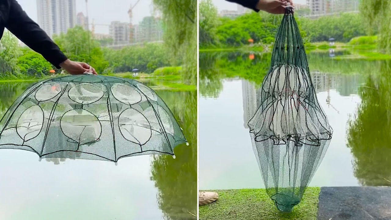 Foldable Umbrella Fishing Net Demo 2021-Does it Work？