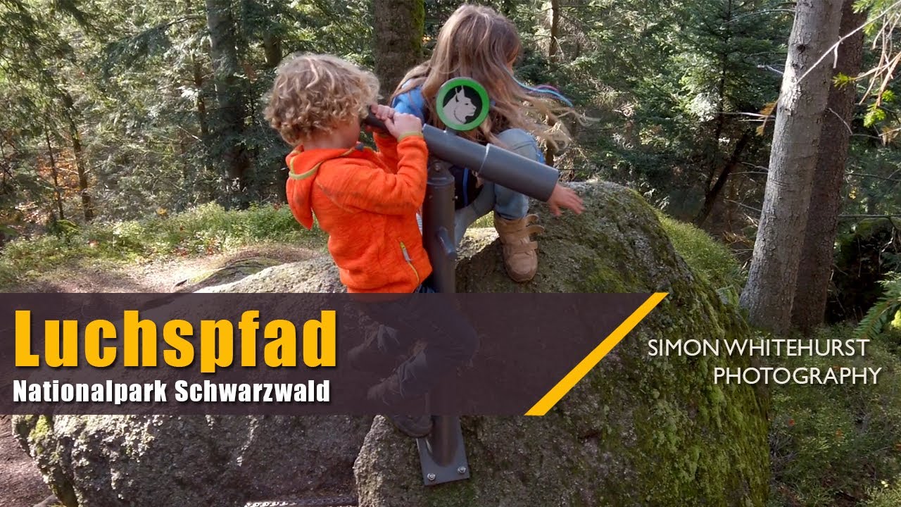 Luchspfad | Nationalpark Schwarzwald | Lynx Path | Black Forest