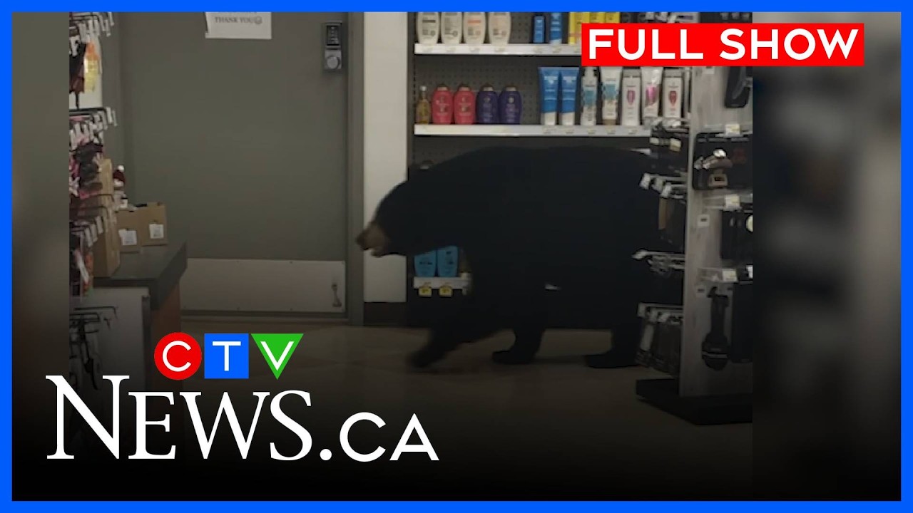 Tragic end after bear walks through pharmacy | CTV Your Morning Vancouver for Sept. 22, 2026