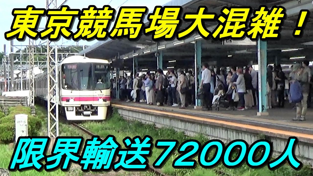 【競馬場線の本気】両数も本数も4倍に大増発！日本ダービーの来場客を本気で捌くとこうなります！（2023年5月28日撮影）