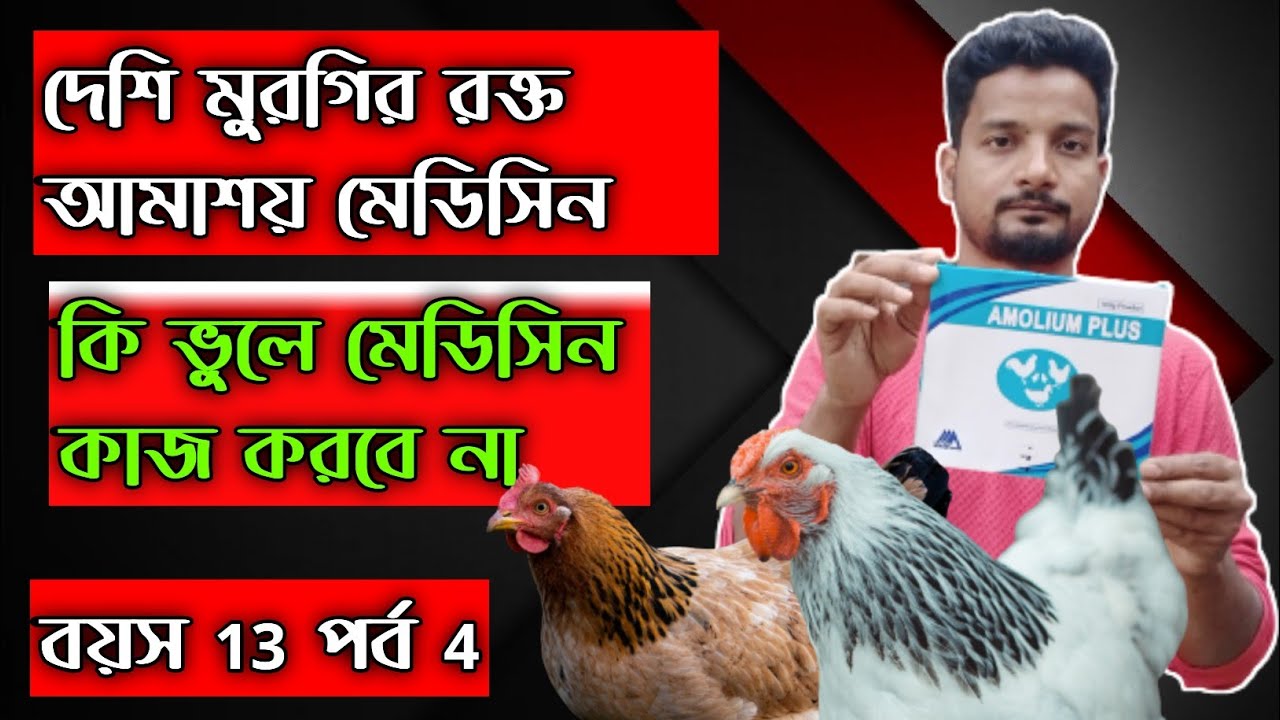 দেশি মুরগির রক্ত আমাশয় মেডিসিন , কি ভুল করলে মেডিসিন কাজ করবে না #shakilfarming #murgipalon
