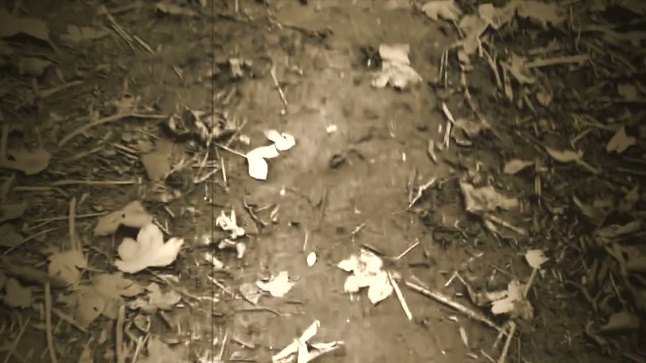 Five Green Moons - Song of Dust. 1.11.24