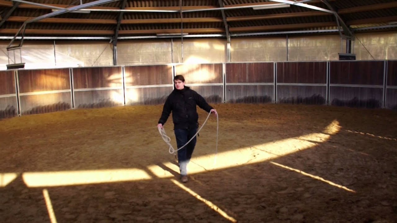 Yannick Pohlenz Horsemanship- Join Up mit Shettyhengst Alf