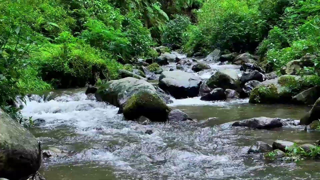 Deepen your rest with calming river stream under daylight bringing full healing recovery