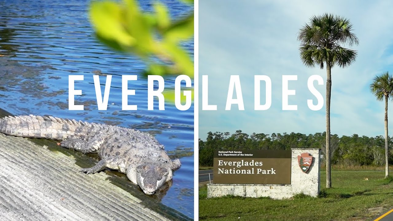 One Day in the Florida Everglades National Park (Anhinga and Flamingo) - Van Life Ep 25