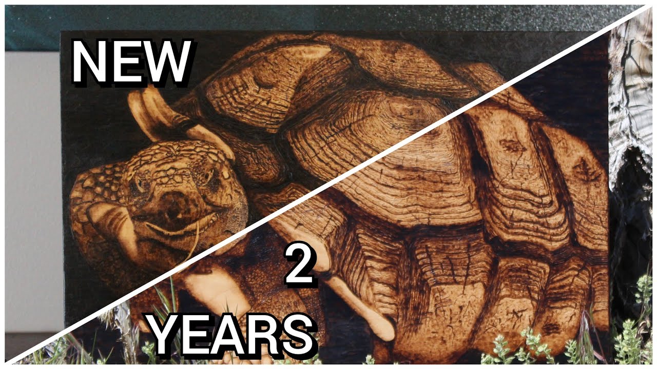 Why Does Woodburning Fade?