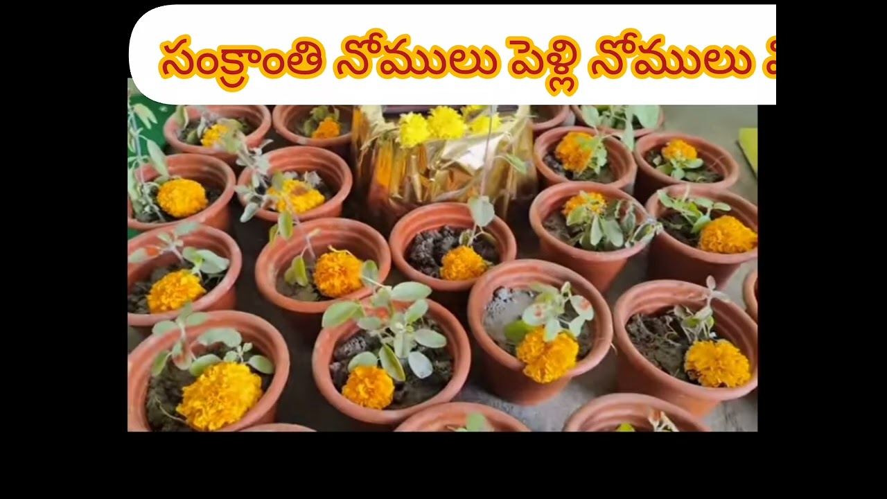 సంక్రాంతినోములు #పెళ్లినోములు#మరియు#విడిగా నోముకునే#70#రకాలనోములు🎉🎊🥳🎉