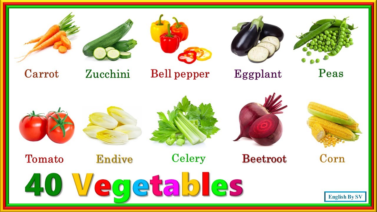 Learn Common Vegetables and Their Names Learn English Vocabulary